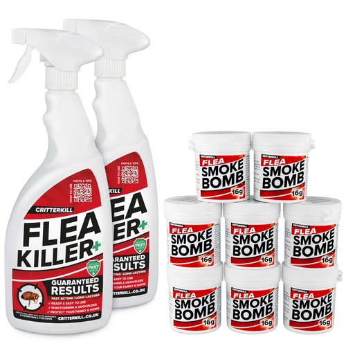 Flea killer treatment - flea,