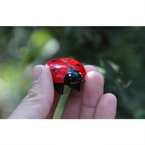 Electric red toy outdoor - red,