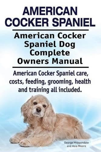 American cocker spaniel - american,