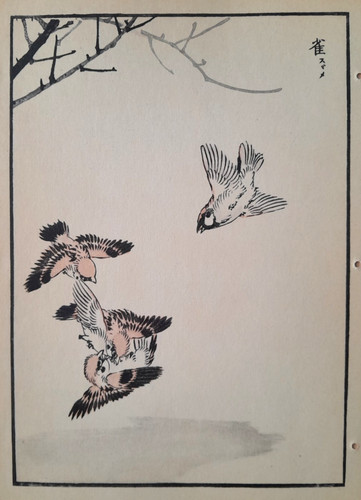 Bairei sparrows japanese print - japanese,