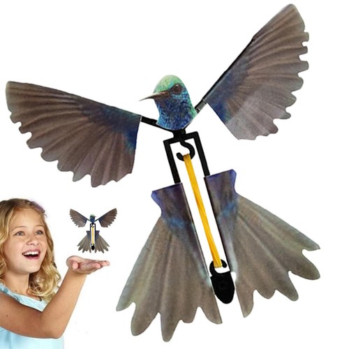 Realistic hummingbird flying - realistic,