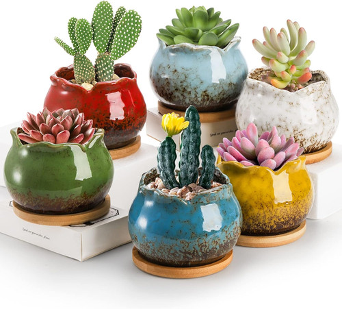 Set succulent planters - succulent,