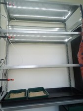 Stainless steel shelving 4 x tier, With pre-installed L.E.D grow lights.