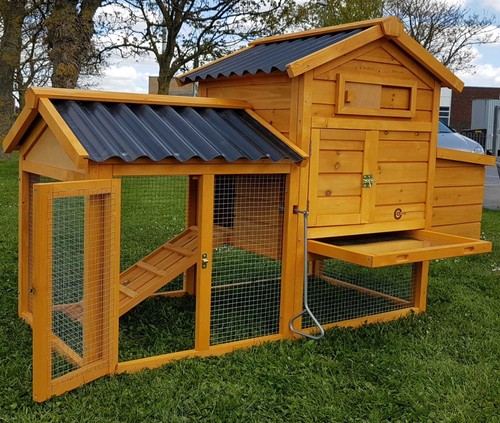 Chicken coop run hen house - hen,
