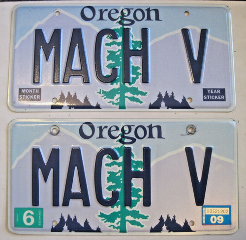 Oregon giant tree - oregon,