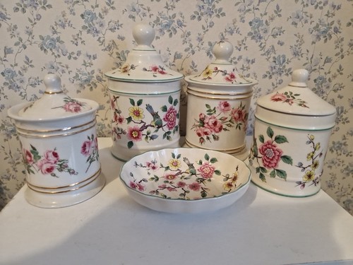Old foley chinese rose - foley,