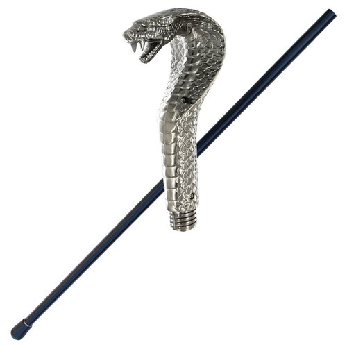 Walking venomous cobra - walking,
