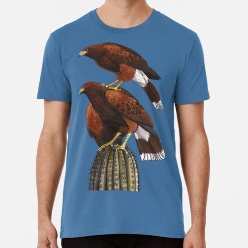Harris hawk stack - stack, s