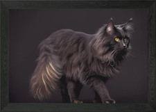 Maine Coon cat Framed Wall Art