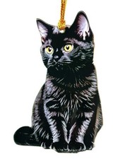SWEET LITTLE BLACK KITTEN CAT