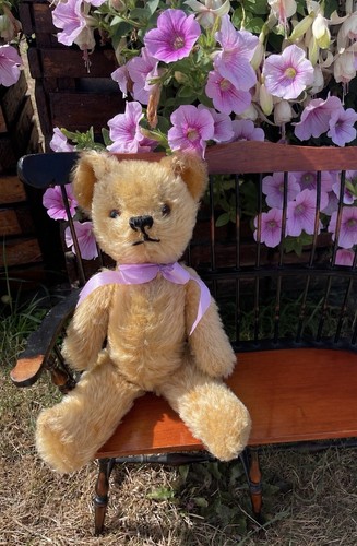 Pedigree teddy bear - pedigree, |