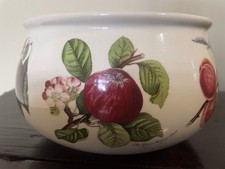 Portmeirion - Pomona Extra