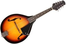 8-String Mandolin Instrument