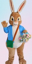 Peter Rabbit Lookalike Mascot