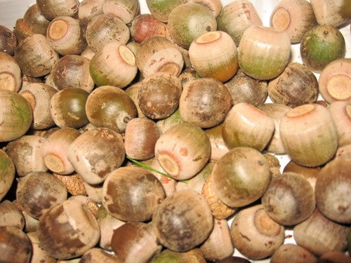 Pounds ny natural raw - 3,