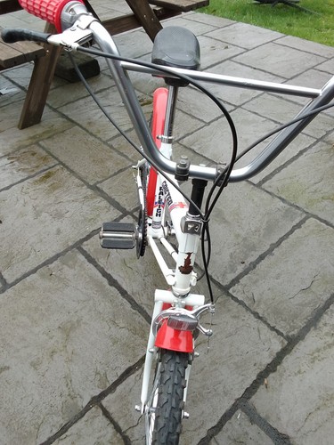 Raleigh grifter bike for sale - bike,