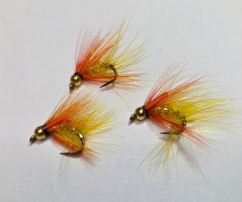 Yellow snatcher fly - 3,