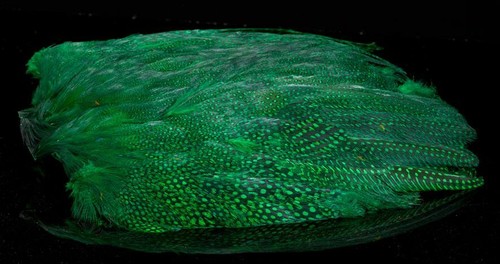 Guinea fowl top - top,