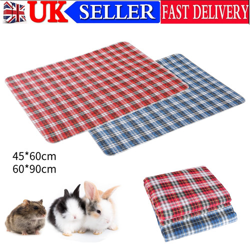 Guinea pig cage - guinea,