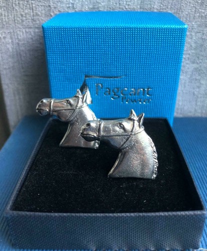 Horse head with - horse, tack