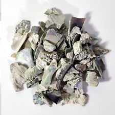 Natural Crushed Abalone Pieces