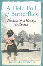 A Field Full of Butterflies by