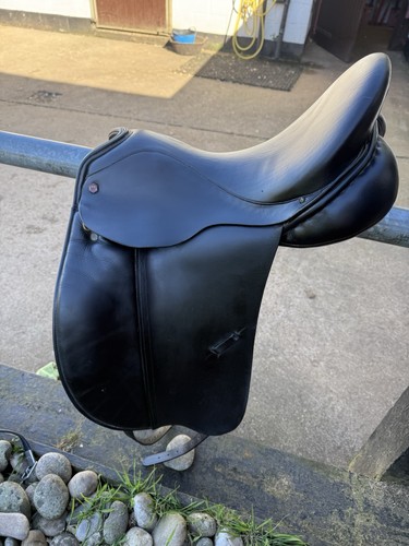 Albion slk dressage - albion,