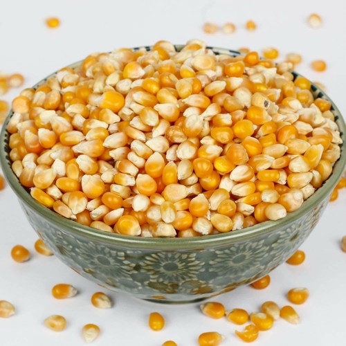 Popcorn kernels seeds - popcorn,