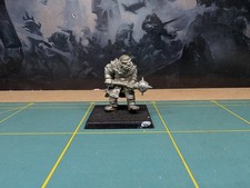 Warhammer Fantasy Goglfag's