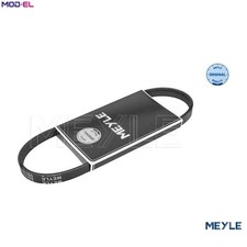 VRIBBED BELT 050 004 0735 FOR