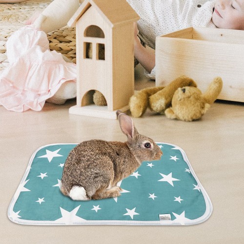 Pcs hamster pee - pcs, small