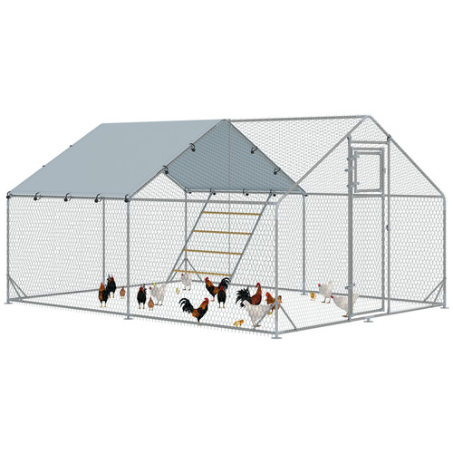 Walk chicken run with - in,