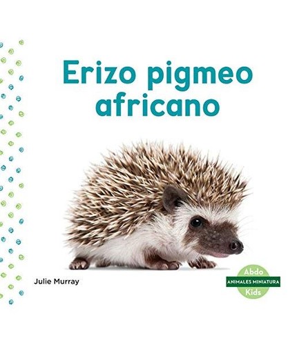 Erizo pigmeo africano african - erizo,