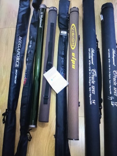 Large collection salmon grilse