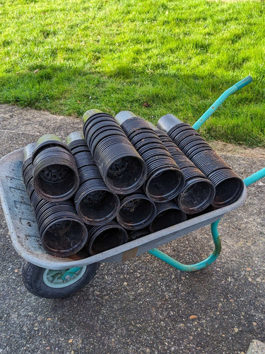 Litre plastic plant pots x - plastic,