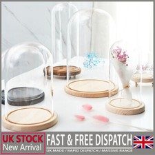 Glass Dome Display Bell Jar Cloche Wood Base Figure Action Storage Display Decor