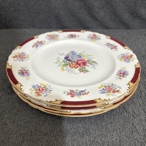 Shelley plate dubarry - 4,