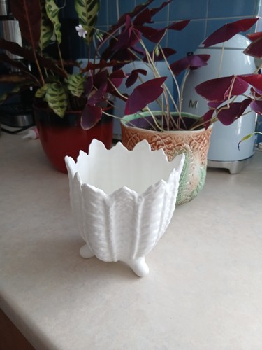 Coalport countryware fine bone - fine,