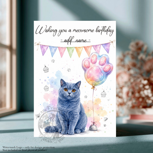 British shorthair cat birthday - shorthair,