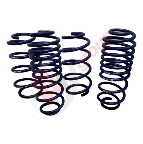 Lowering springs for a - lowering,