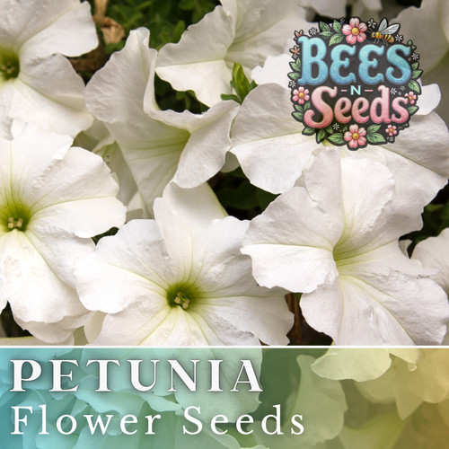 1000 pearl ice petunia - petunia, seeds
