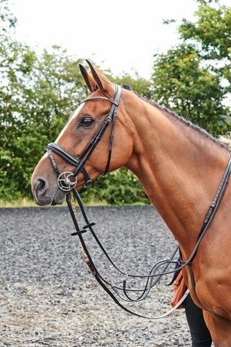 Whitaker bling bridle - bling,