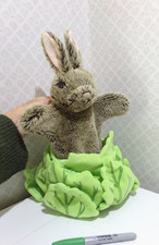 Spring Bunny Rabbit in lettuce