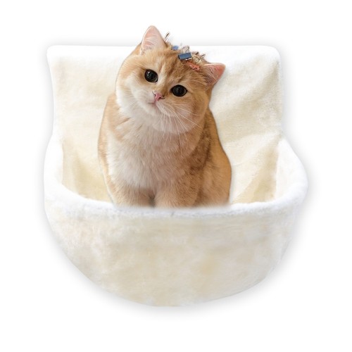Cat radiator bed warm - cat,