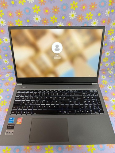 Clevo laptop with charger - laptop,
