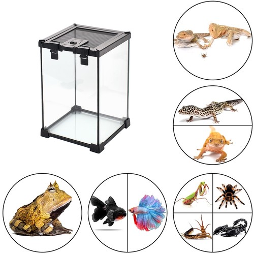 Reptile terrarium glass - terrarium,