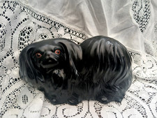 Adorable Black Peke Pekinese