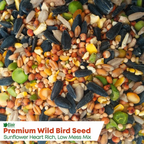 Premium wild bird - premium, food
