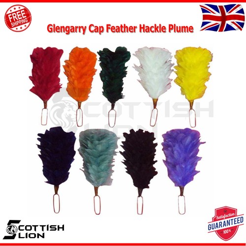 Glengarry cap feather - glengarry,