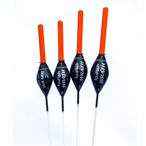 Nufish big top - 2024,